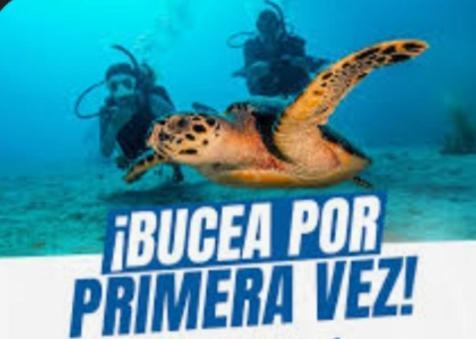 Taganga Paradise Hostal Diving ห้อง รูปภาพ